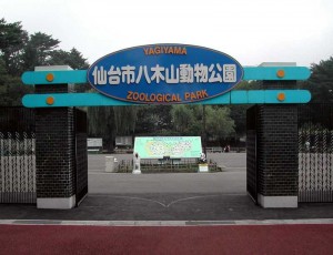 yagiyama zoo