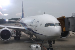 ANA plane